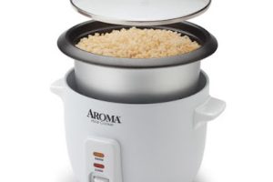 Rice Cooker Berapa Watt?